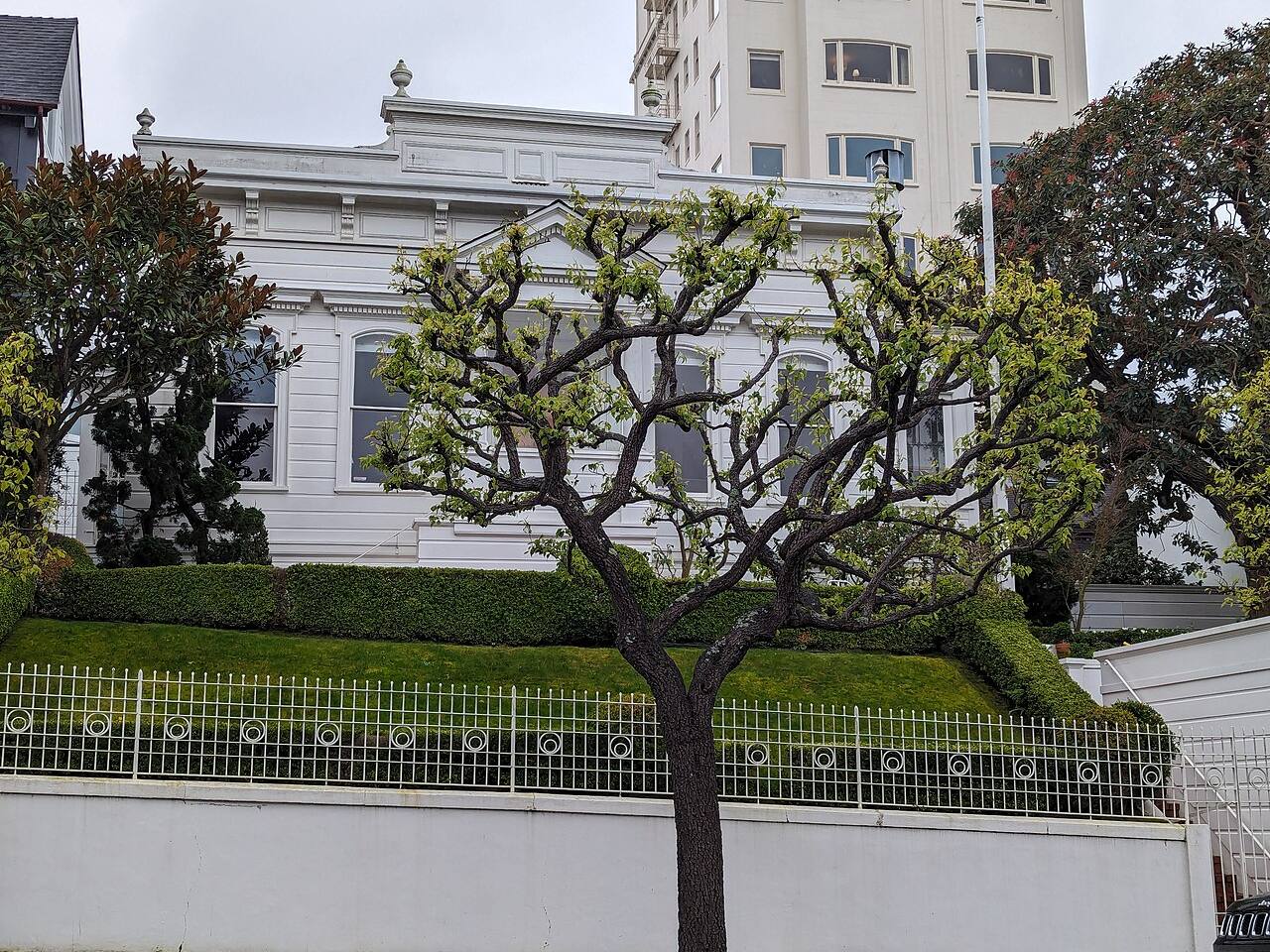 Photo of Leale House